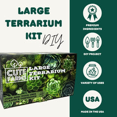 Miniature dinosaurs included in the Cute Farms Terrarium Starter Kit