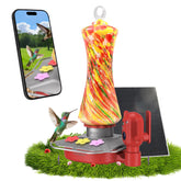 Minikey Smart Hummingbird Feeder front view with red and yellow colours