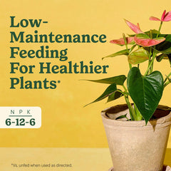 Miracle-Aerator tool used with Miracle-Gro Indoor Plant Food Spikes