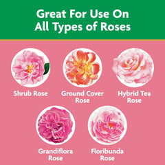 Miracle-Gro Garden Feeder with Rose Plant Food application