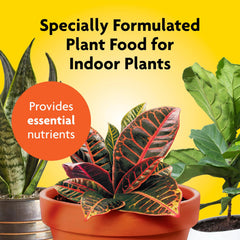 Miracle-Gro Indoor Plant Food 3 pack arrangement