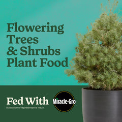 Miracle-Gro Shake 'N Feed Flowering Trees & Shrubs Plant Food granules close-up