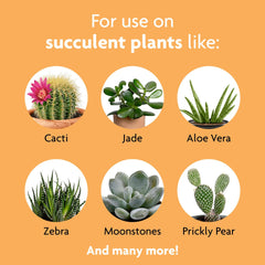 Miracle-Gro Succulent Plant Food mixed with water in watering can