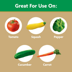 Miracle-Gro Tomato Plant Food application to tomato plants