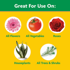 Miracle-Gro Water Soluble All Purpose Plant Food in use with watering can