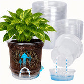 MIXC 5 Inch self watering pot clear design with wicking rope