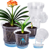 MIXC 6.5-inch clear self watering pot with plant