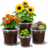 MIXC Clear Nursery Pots 16 pack with various sizes