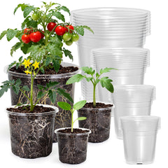 MIXC Clear Nursery Pots 3.5-inch size front view