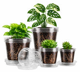 MIXC Clear Nursery Pots 5 inches with saucer