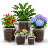 MIXC Clear Nursery Pots set showing various sizes from 3.5 to 8 inches