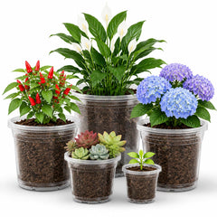 MIXC Clear Nursery Pots set showing various sizes from 3.5 to 8 inches
