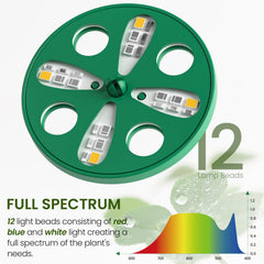 MIXC Seed Starter Kit with drainage system