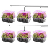 MIXC Seed Starter Kit with transparent humidity dome and grow light