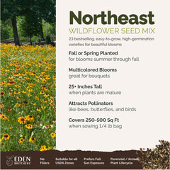 Mixed wildflower seeds including Cornflower and Shasta Daisy