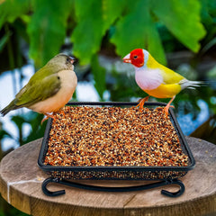 MIXXIDEA Metal Seed Tray for birds on grass