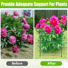 MJZ Peony Cages in a garden setting with blooming flowers