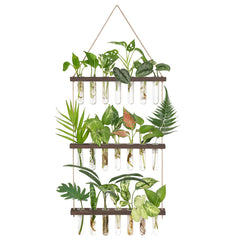 Mkono Plant Propagation Station with 21 test tubes and wooden stand
