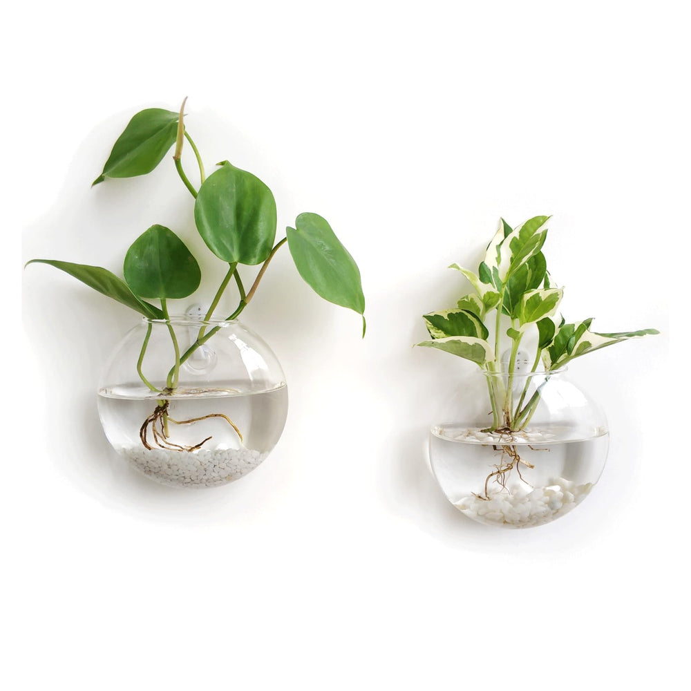 Mkono Wall Propagation Planters, 2 Pack Oblate Hanging Vases