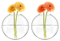 Mkono Wall Propagation Planters displayed in a stylish living room