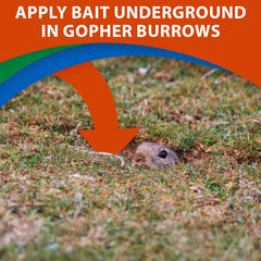 Monterey Go-DIE Gopher Bait application on gopher burrow