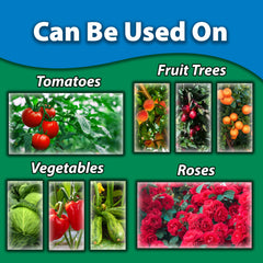 Monterey Horticultural Oil application scene on plants