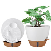 Montresor 10 inch self watering planter front view with water level window