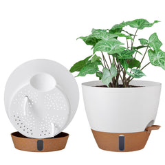 Montresor 10 inch self watering planter front view with water level window