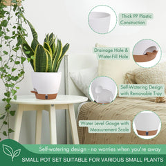 Montresor 5.5-inch planter with absorbent cotton wick