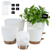 montresor 5-Pack Self Watering Pots in white