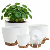 Montresor self watering pots set in various sizes white