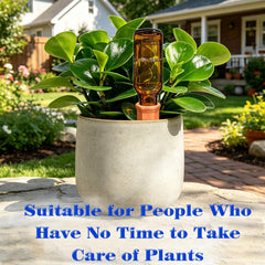 MOONSOUND 6-pack of terracotta watering devices in packaging