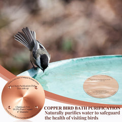 MorningRo copper disc in bird bath with water