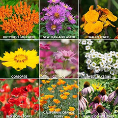 Mountain Valley Seed Shaker with wildflower varieties listed