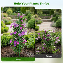 MQHUAYU 2 Pack Garden Obelisk Trellis with climbing plants
