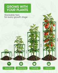 MQHUAYU tomato cage installed in garden with climbing plants