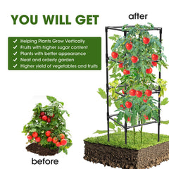 MQHUAYU tomato cage with climbing plants, demonstrating support