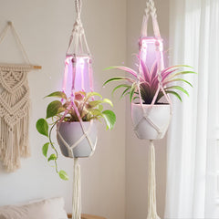 MSFON Ivory Macrame Plant Hanger with grow light setup
