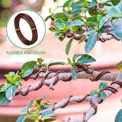Mudder Bonsai Training Wire packaging front view