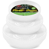 MUDEELA 12-inch clear plastic plant saucer side view
