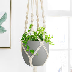 Multicolor Ferlypote plant pots arranged together