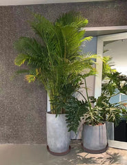 Multiple Bleuhome 16-inch plant saucers stacked