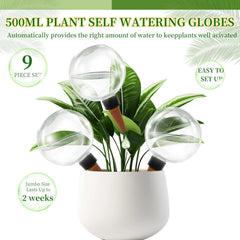Multiple GEWOSI self watering globes in use with indoor plants