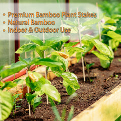 Multiple HAINANSTRY Bamboo Plant Stakes in a garden