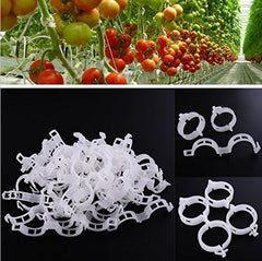 Multiple KINGLAKE Plant Support Garden Clips in use on various vegetables