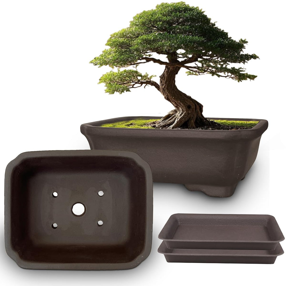 MUZHI Zisha Bonsai Planter Pot 6 inch rectangle with drip tray