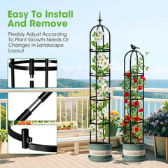 MYMULIKE trellis showing support for climbing vines