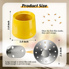 Mysora Fruit Fly Trap filled with apple cider vinegar