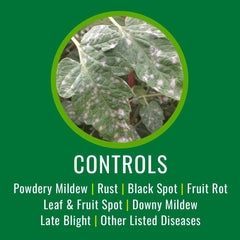 Natria Disease and Fungus Control Spray bottle back view