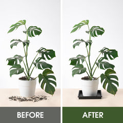 NATSUKY Square Plant Saucer 2 pack packaging